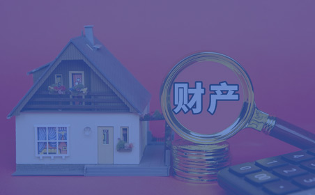 財(cái)產(chǎn)調(diào)查